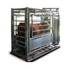 Customized Animal Weigher